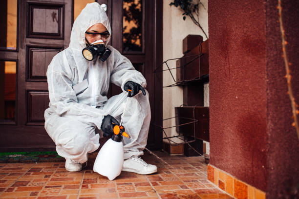 Reliable Emergency Pest Control contractor in Germantown Hills, IL by Nex Pest Control