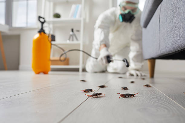 Trusted Fumigation Services service in Germantown Hills, IL - Nex Pest Control