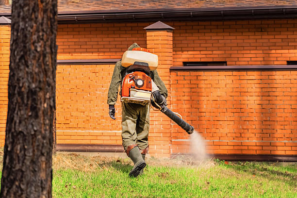Trusted Rodent Control service in Germantown Hills, IL - Nex Pest Control